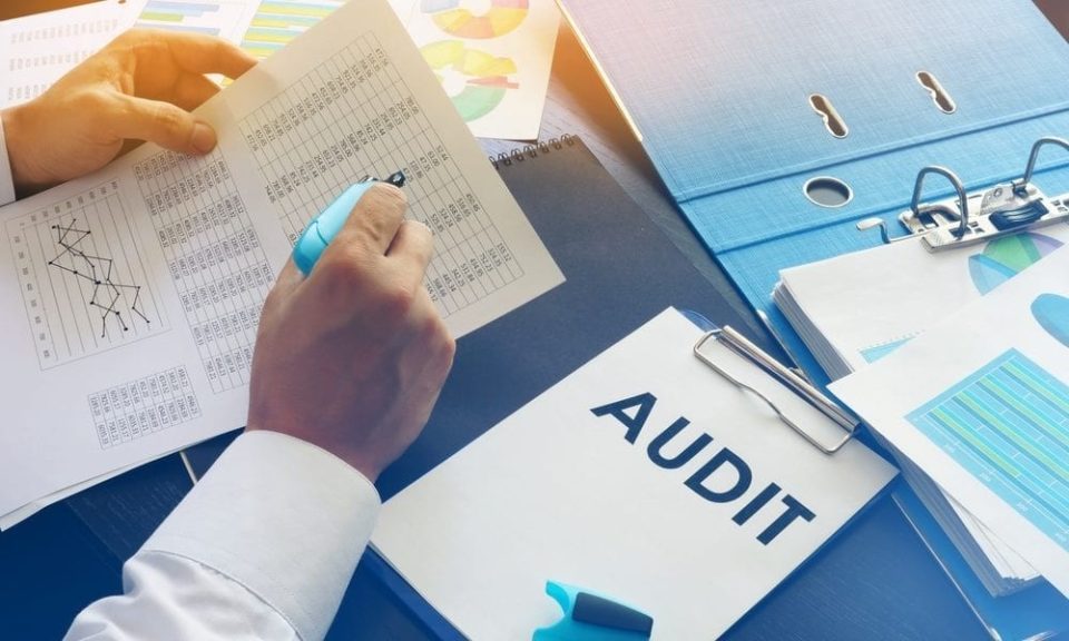 Statutory Audit Service