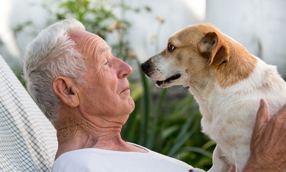 Pet Ownership